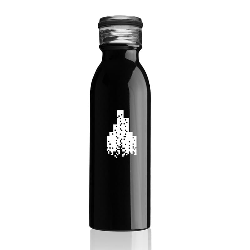 20 oz Stainless Steel Water Bottle